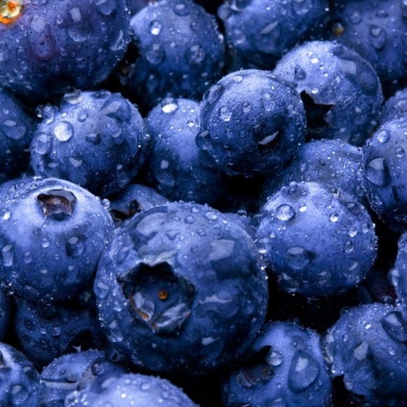 Meet your Posher, Lilliana - Picture 1 of 1